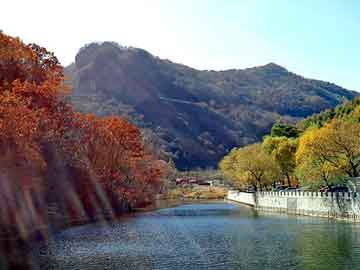 管家婆免费正版资起大全，已完本都市异能小说